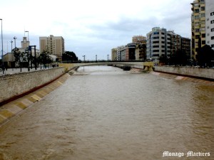 Guadalmedina_Febrero_2010_Malaga