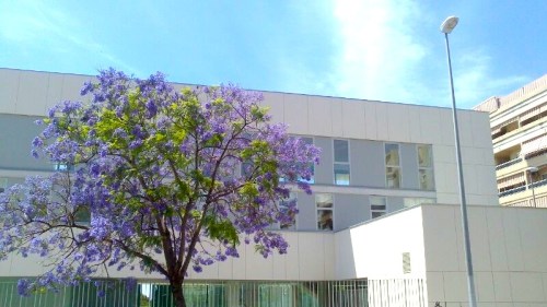 Centro_Ciudadano_Teatinos_Malaga
